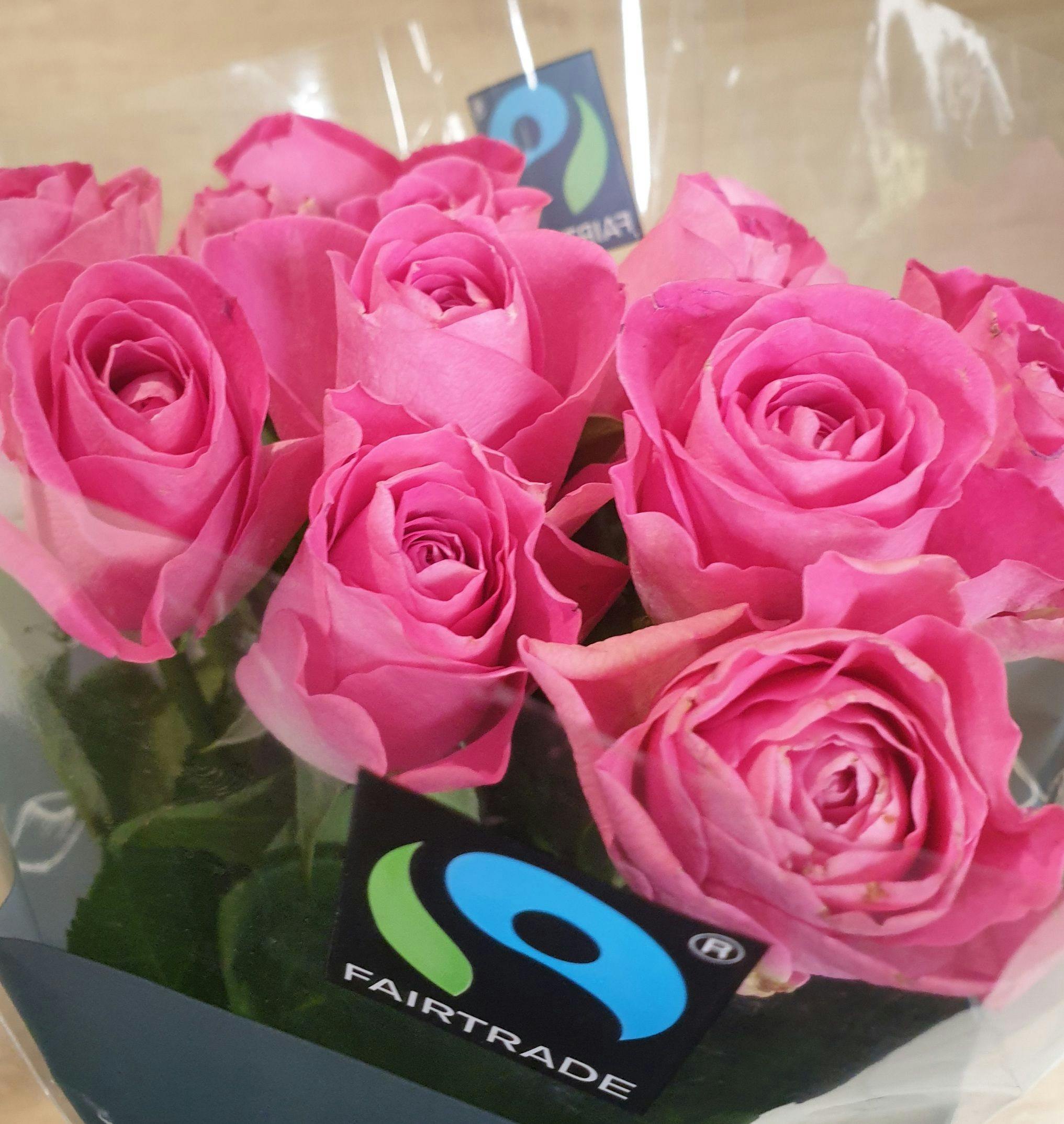Fairtrade Rosen zum Valentinstag 